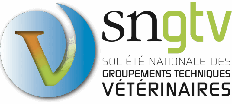 SNGTV